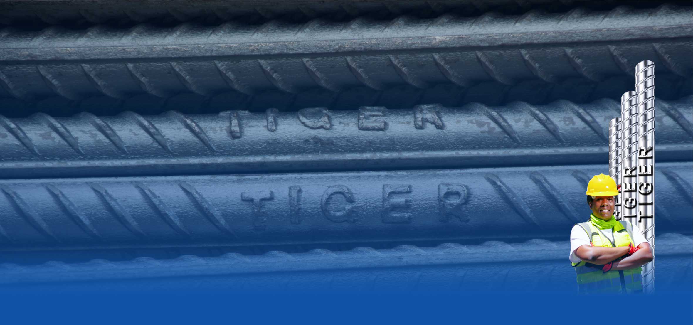 Tiger-Web-Banners-Product